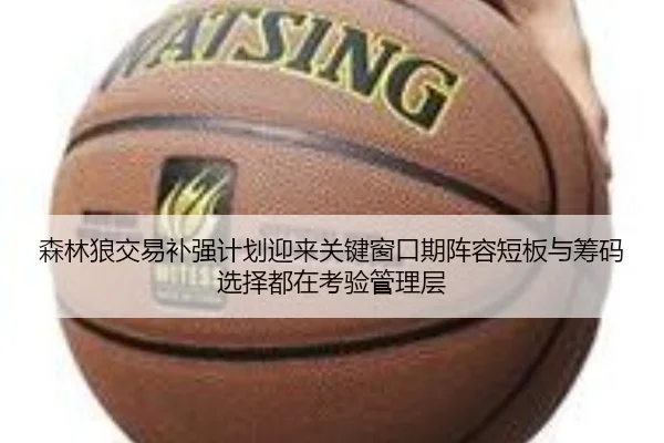 森林狼交易补强计划迎来关键窗口期阵容短板与筹码选择都在考验管理层